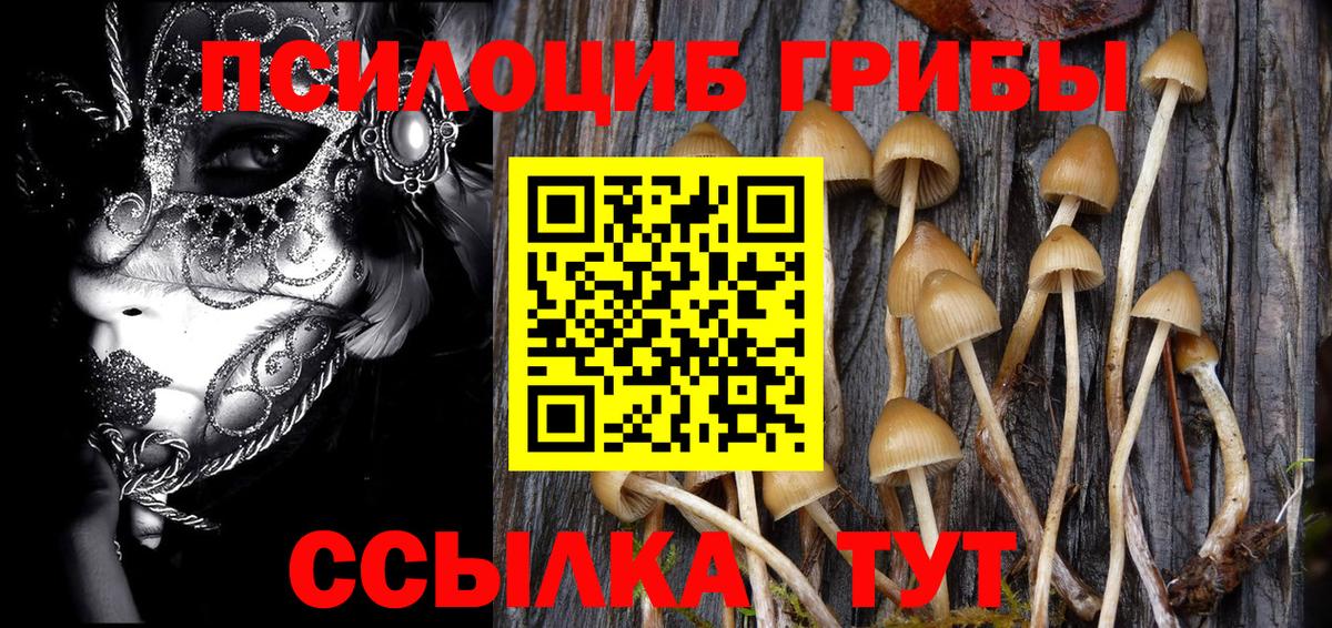 Самара  Галлюциногенные грибы Magic Shrooms  Вход с VPN 